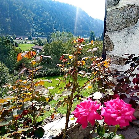 Ferienwohnung Cjasa Da Puci Ovaro Exterior foto
