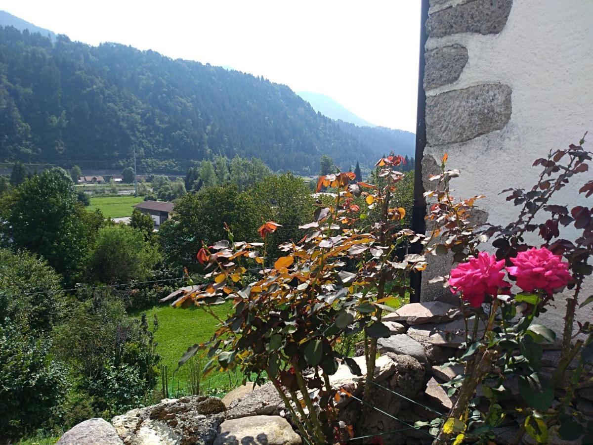 Ferienwohnung Cjasa Da Puci Ovaro Exterior foto