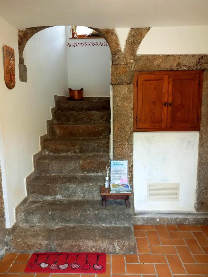 Ferienwohnung Cjasa Da Puci Ovaro Exterior foto